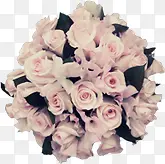 Ӣ�׷����迨ͨͼƬ-������