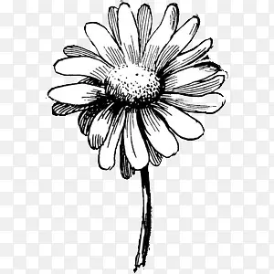 �ֻ�ͼƬӢ�׷�ͼƬ-������