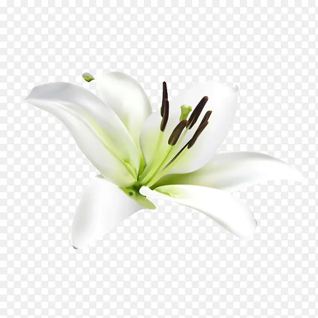 �ٺϻ�װ��-������