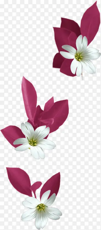 ��ɫ�ٺ�װ��-������