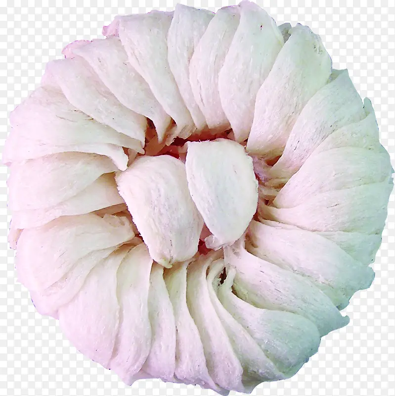 �����ɫ����װ��-������