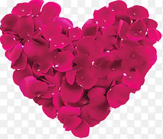 ����õ�廨�갮��װ��-������