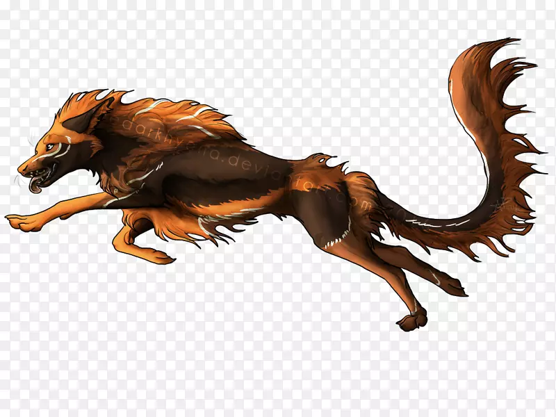 Ȯʳ����-�๷-������