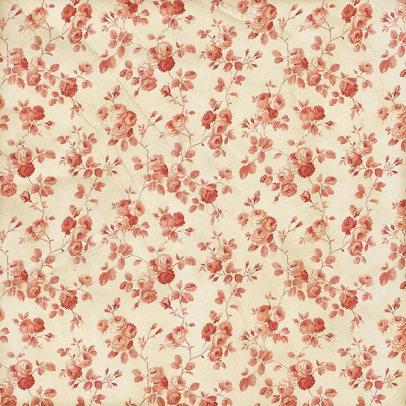 õ�廨���Ʊ���-������