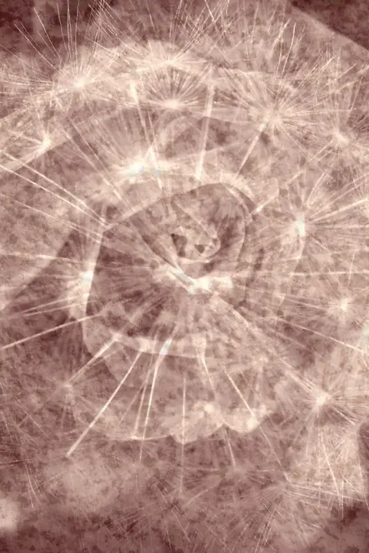 õ�廨��������-������