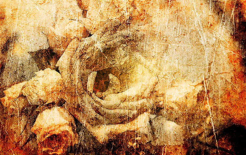 ����õ�廨����-������