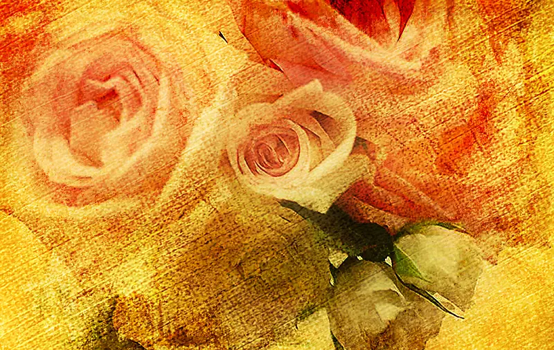 ��ɫõ�屳��-������