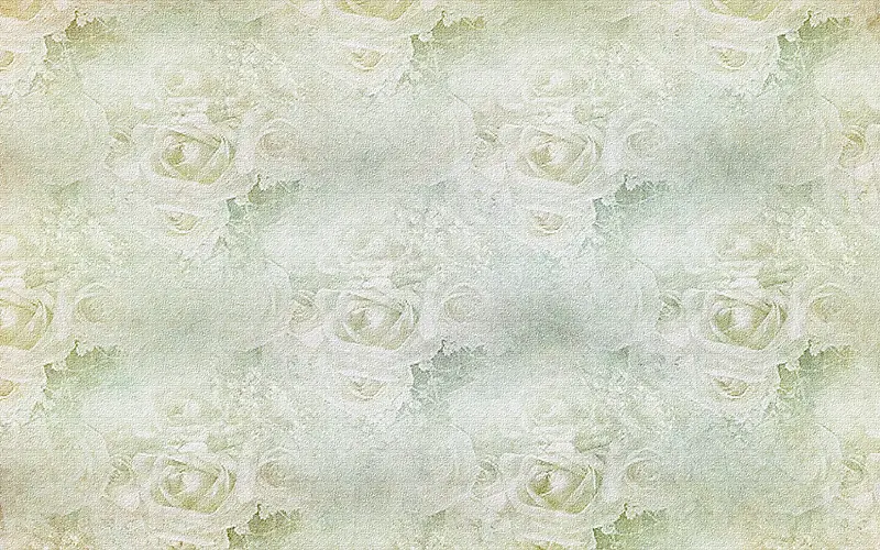 õ�廨���Ʊ���-������