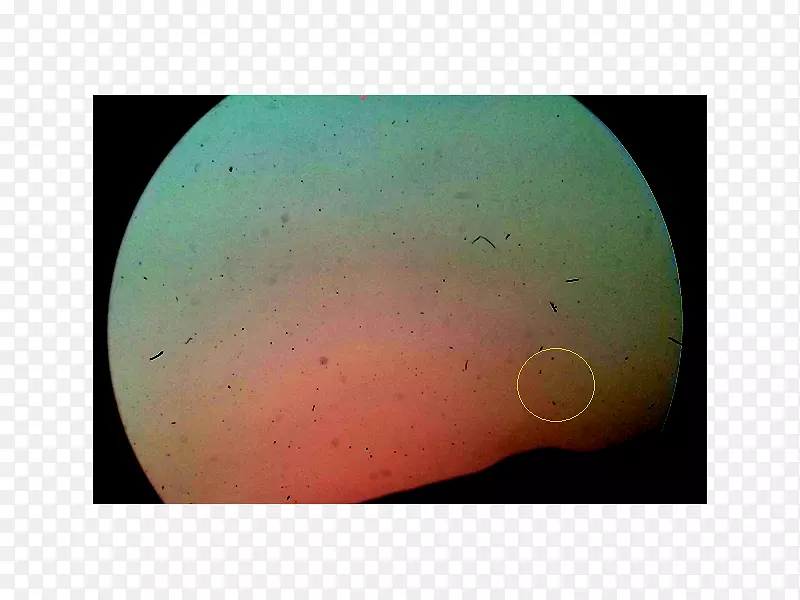 ���Ա�ֽ-���ֶ���ͼƬ-������