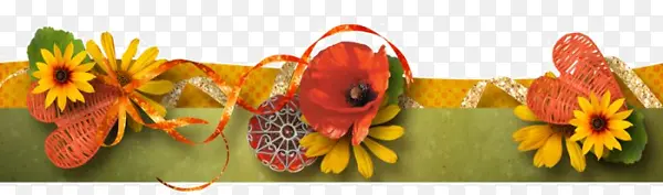 ʵ�ﻨ��С�ջ�װ��-������