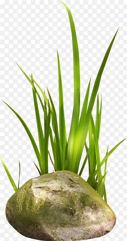 ʯͷ С��-������