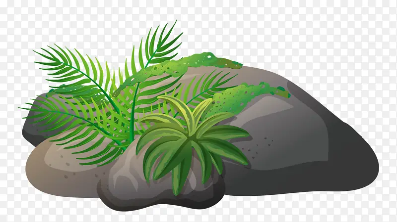 ʯͷС��-������