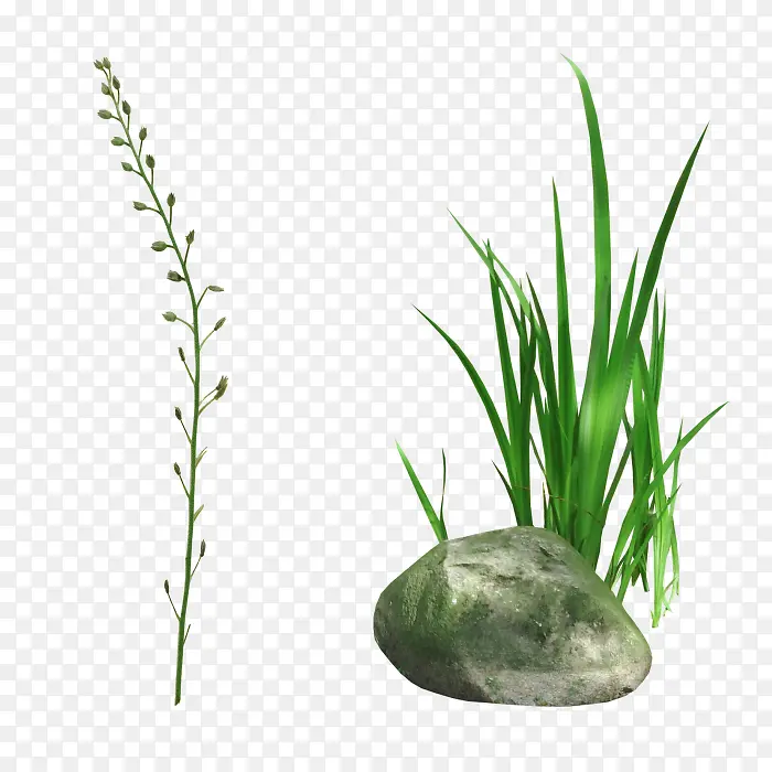 ��ɫС��ʯͷװ��ͼ��-������