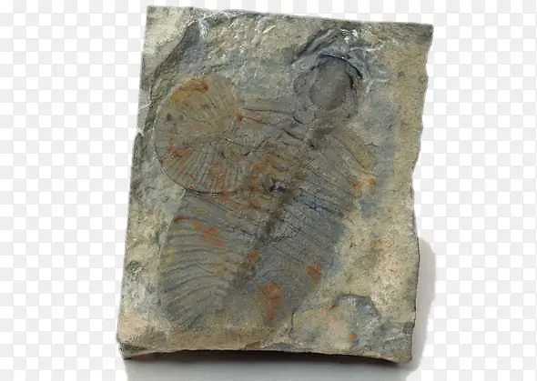 ��ʯ�ز�-������