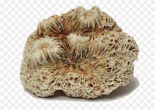 ɺ����ʯ-������