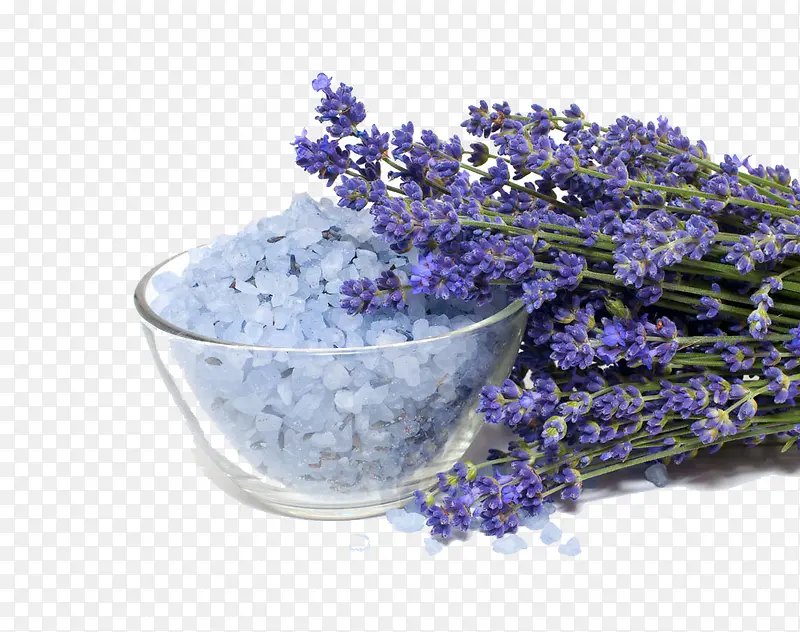 ����ز�֮޹�²�ɳ-������