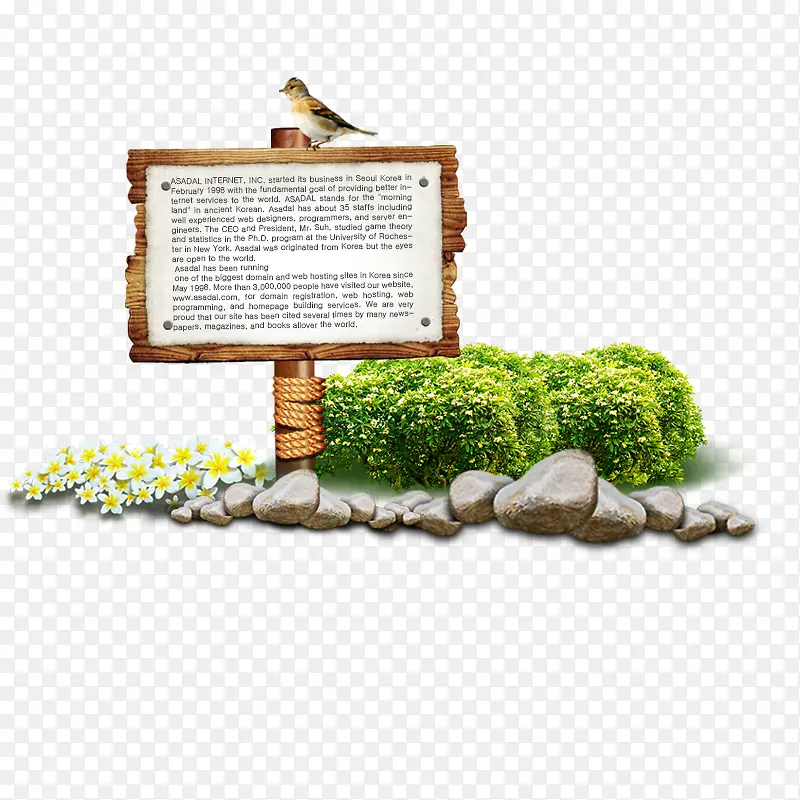 ����-������