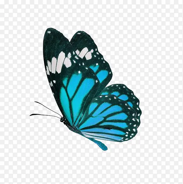 ��ɫ���ĺ���-������