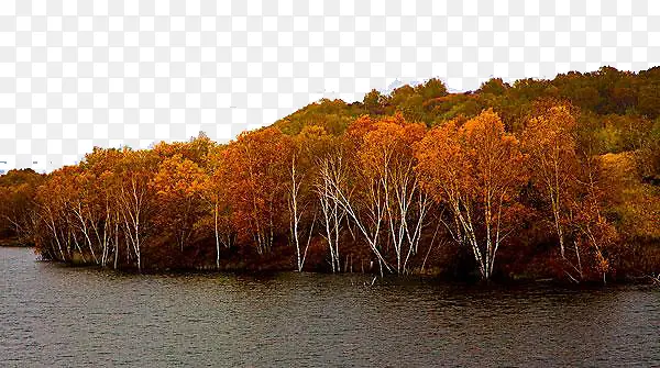 ���Ƶ�����ˮ-������