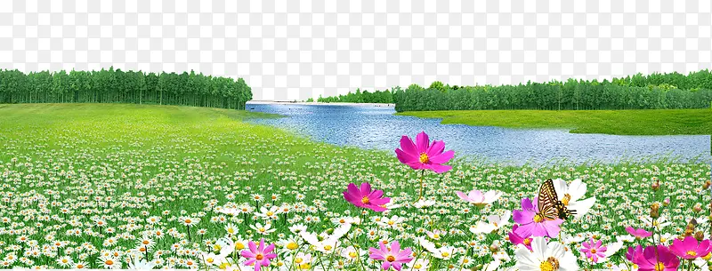 ��-������