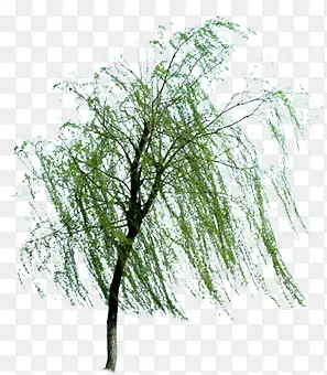 �����������ϴ���-������