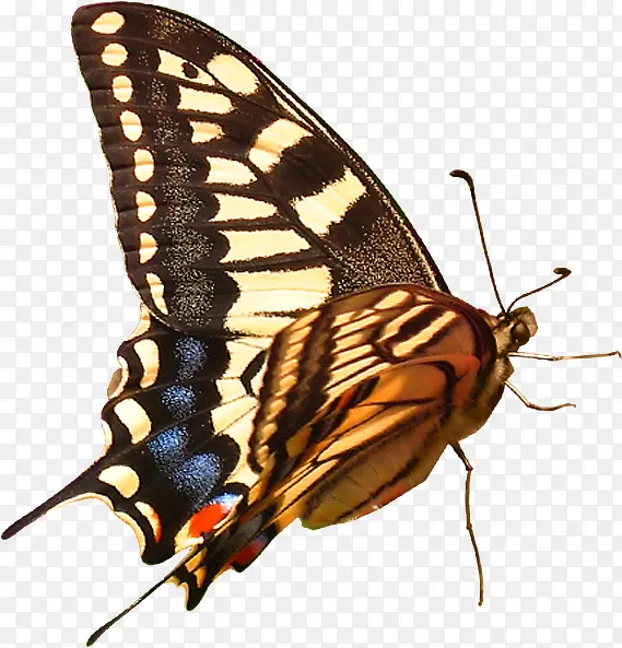 ��Ӱ�ڿ�����������Ļ�����-������