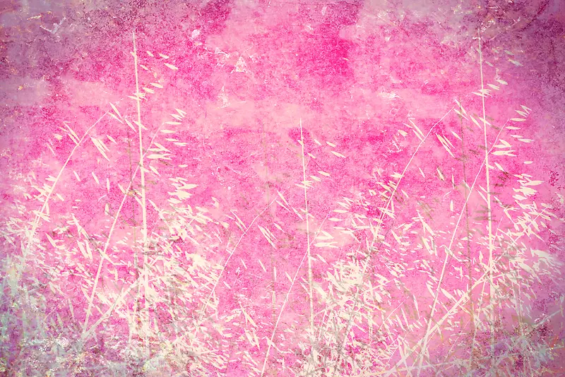 ֲ�ﻨ�Ʊ����߿�-������