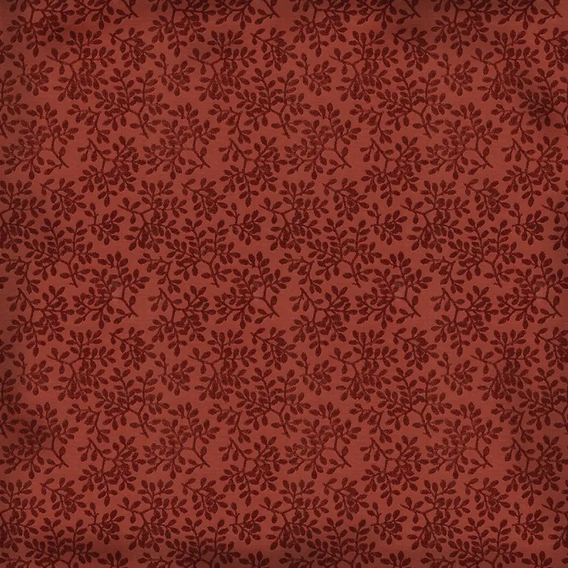 ֲ�ﻨ�Ʊ���-������