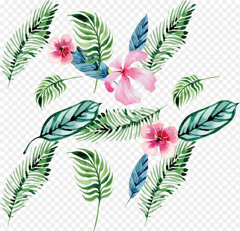 ˮ��ֲ�ﻨ��-������