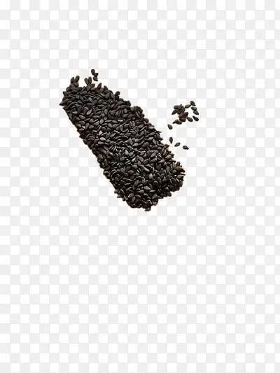 ��֥���Ʒʵ��-������