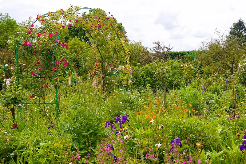 �ʻ��̲�ֲ�ﻨ԰��Ӱͼ-������