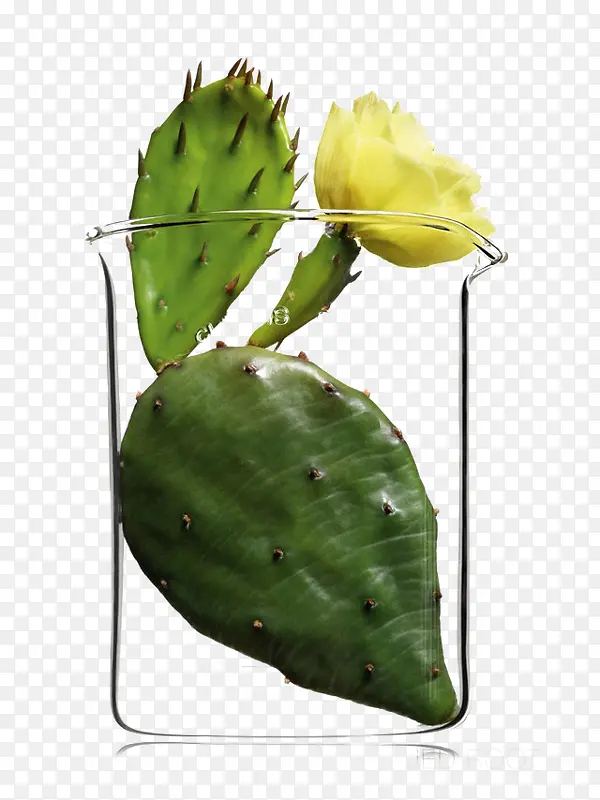 �������������-������