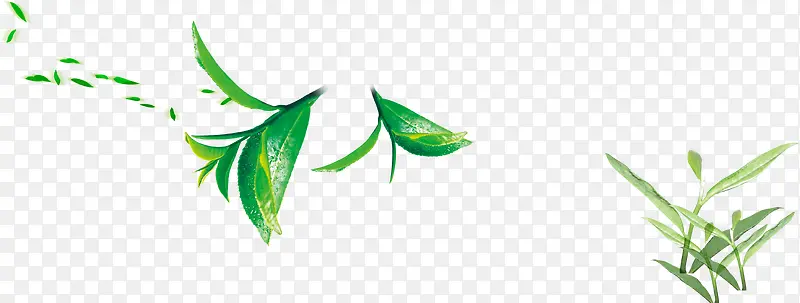 ��Ҷ ���Ļ�-������