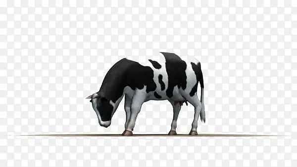 ��ͨ��ͷ��ţ-������