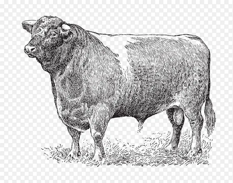 �ֻ���ţ-������