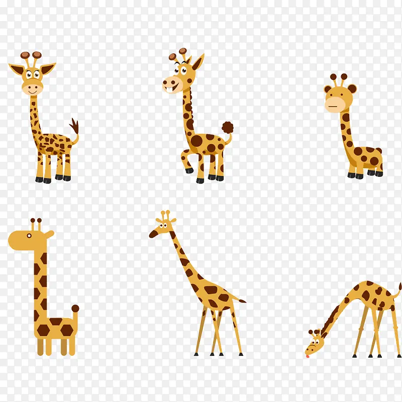 �ɰ��ĳ���¹-������