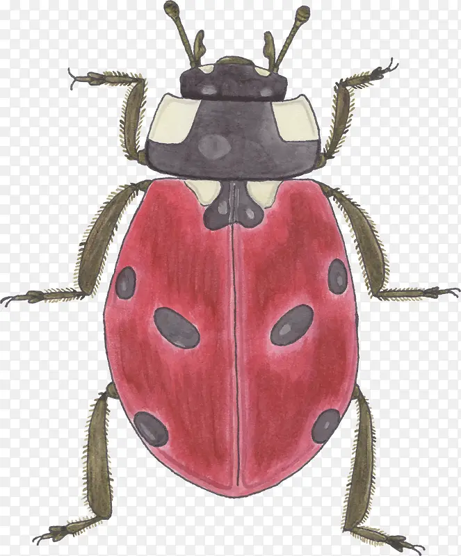 �ֻ�����-������