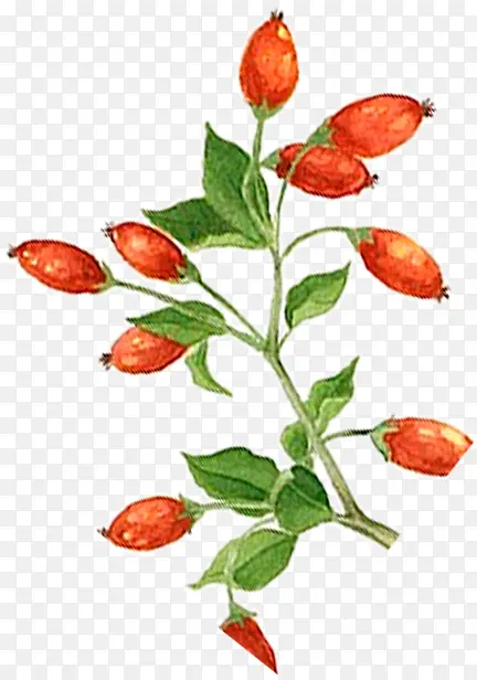 �ֻ����-������