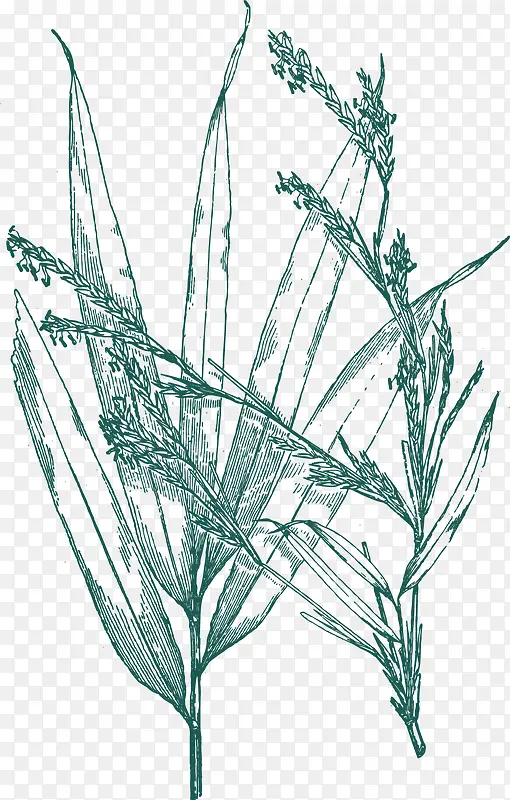 �ֻ���߸�-������