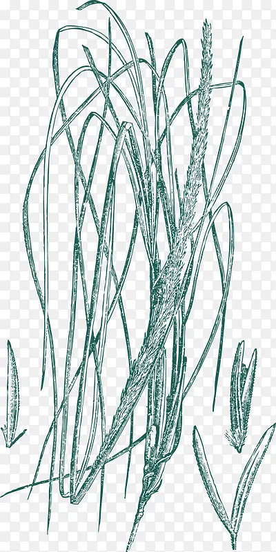 �ֻ���߸�-������