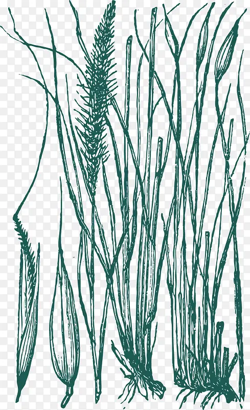 �ֻ���߸�-������