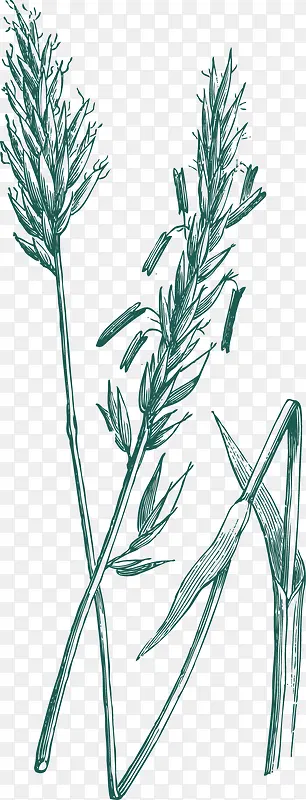 �ֻ���߸�-������