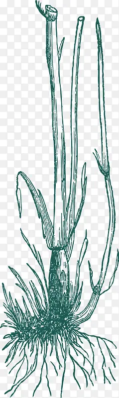 �ֻ���߸�-������