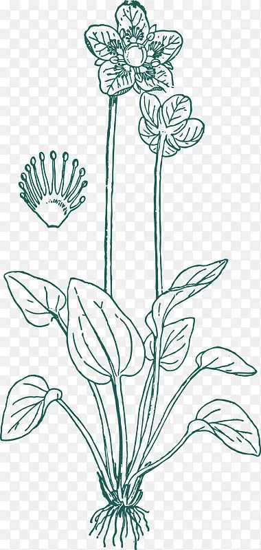 �ֻ���߸�-������