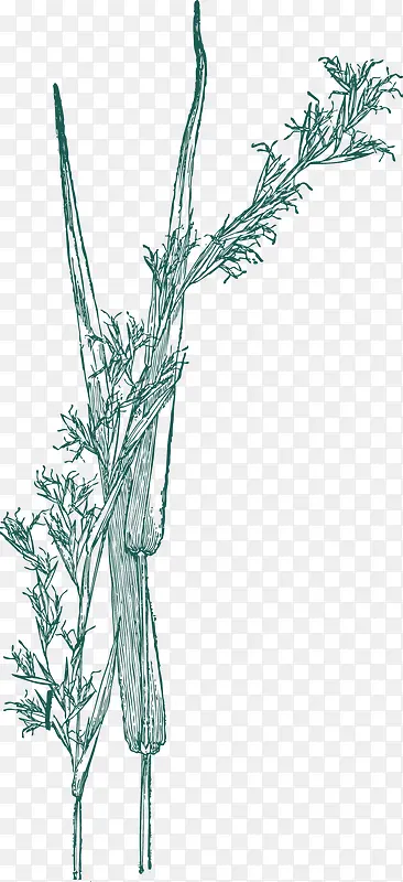 �ֻ���߸�-������