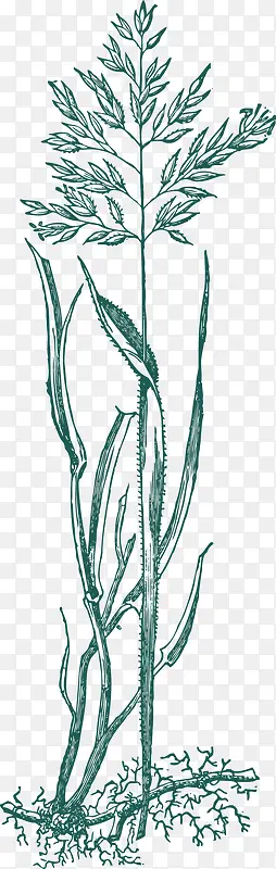 �ֻ���߸�-������