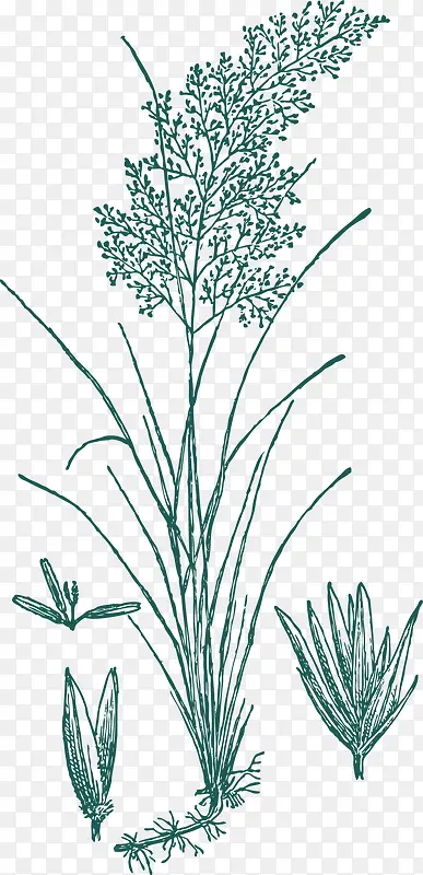 �ֻ���߸�-������