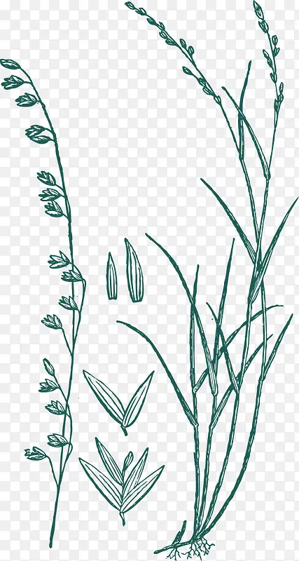 �ֻ���߸�-������