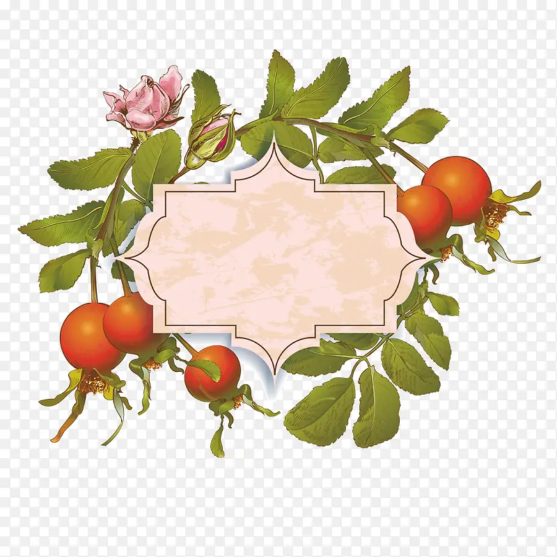 ʸ��ֲ��߿�-������