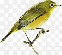 �ֻ�ˮ������С��-������